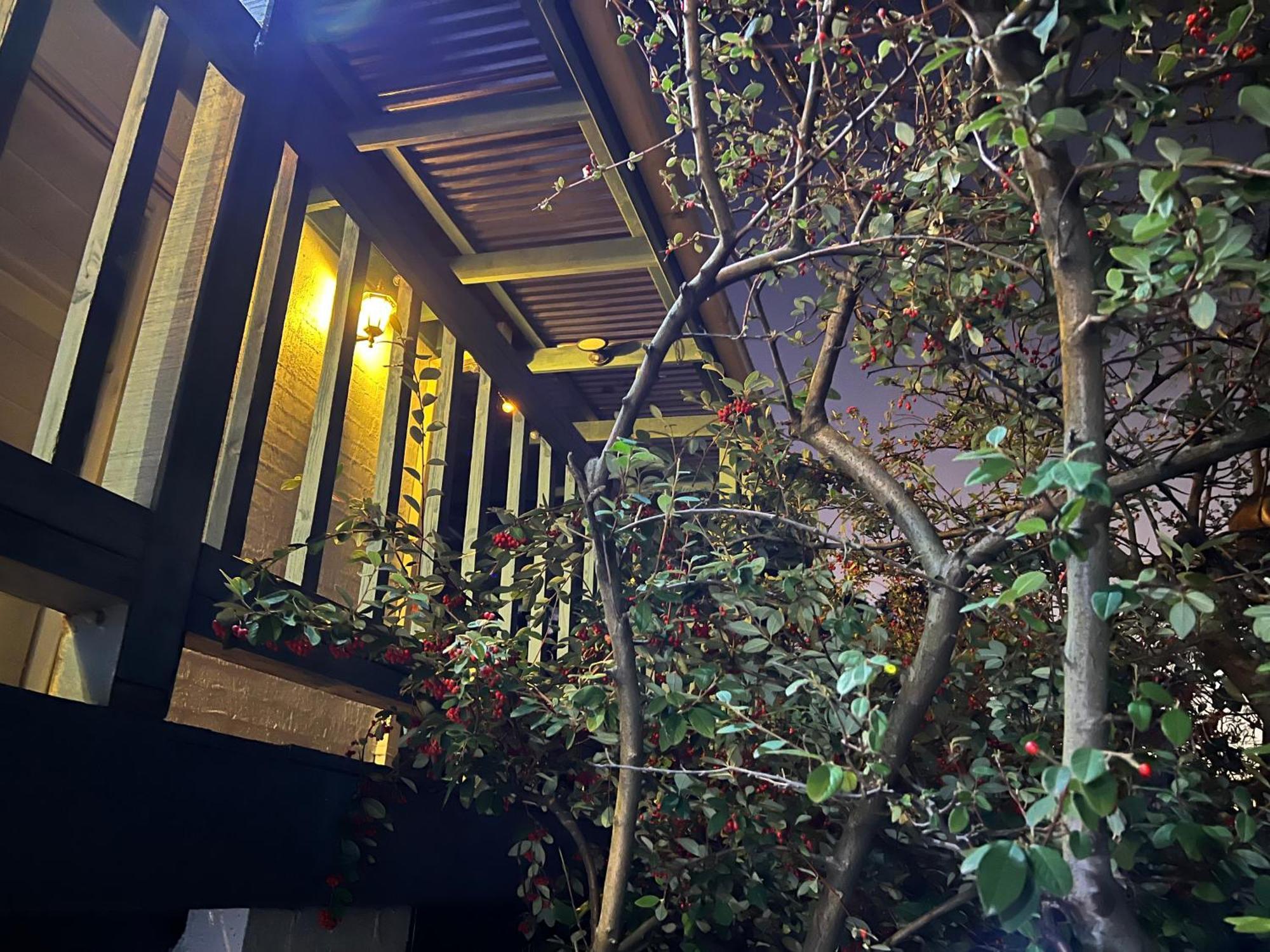 Nest On A Crest Villa Rye Exterior photo